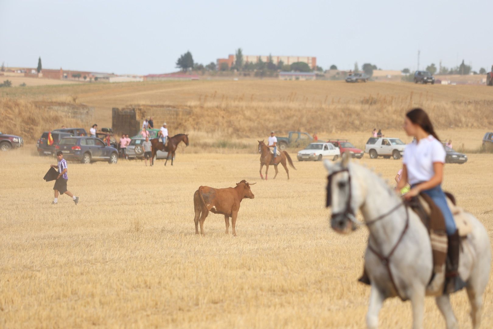 El tradicional encierro campestre de Valderas, en imágenes 