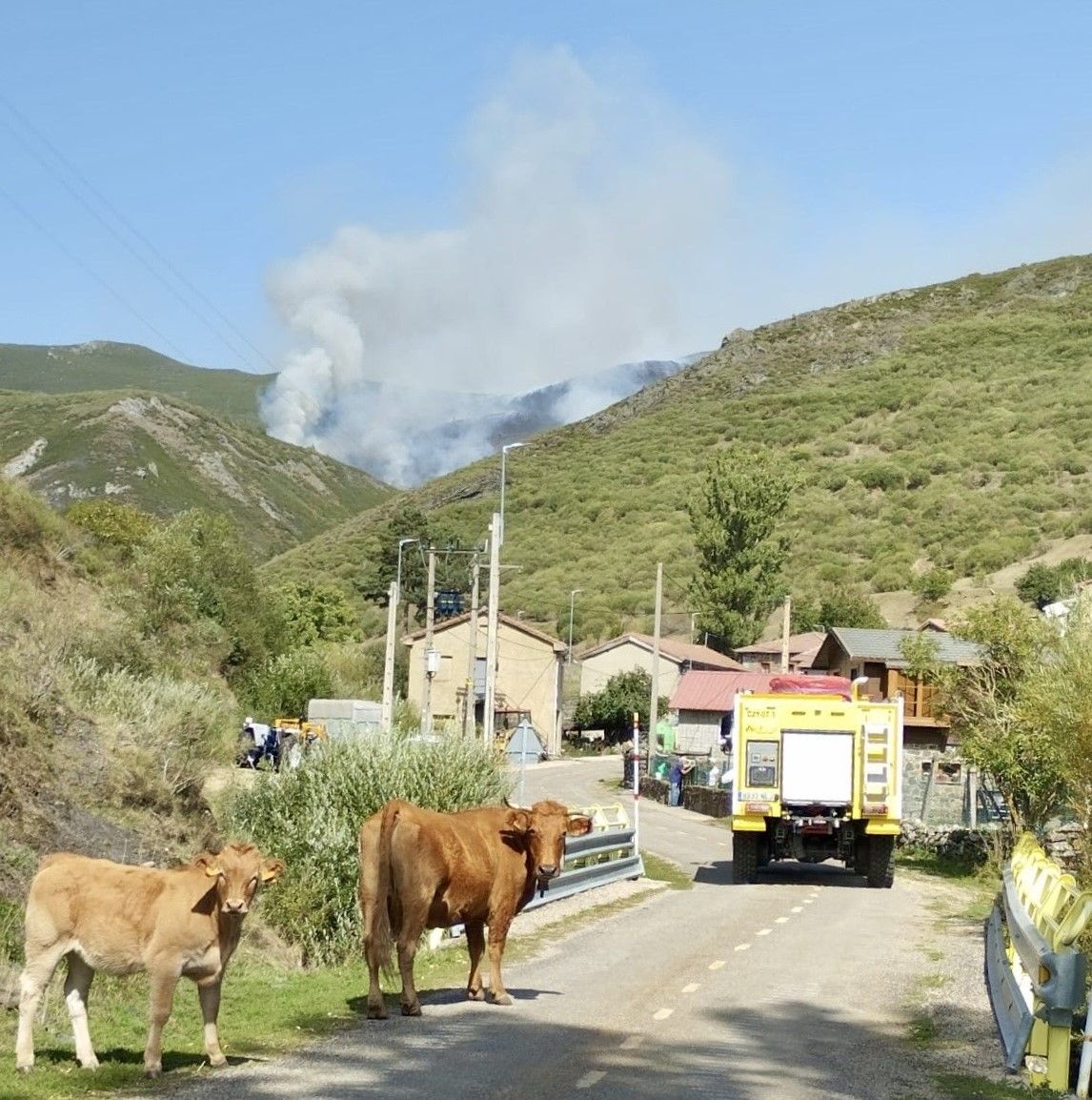 Incendio en Pendilla de Arbas | Ical
