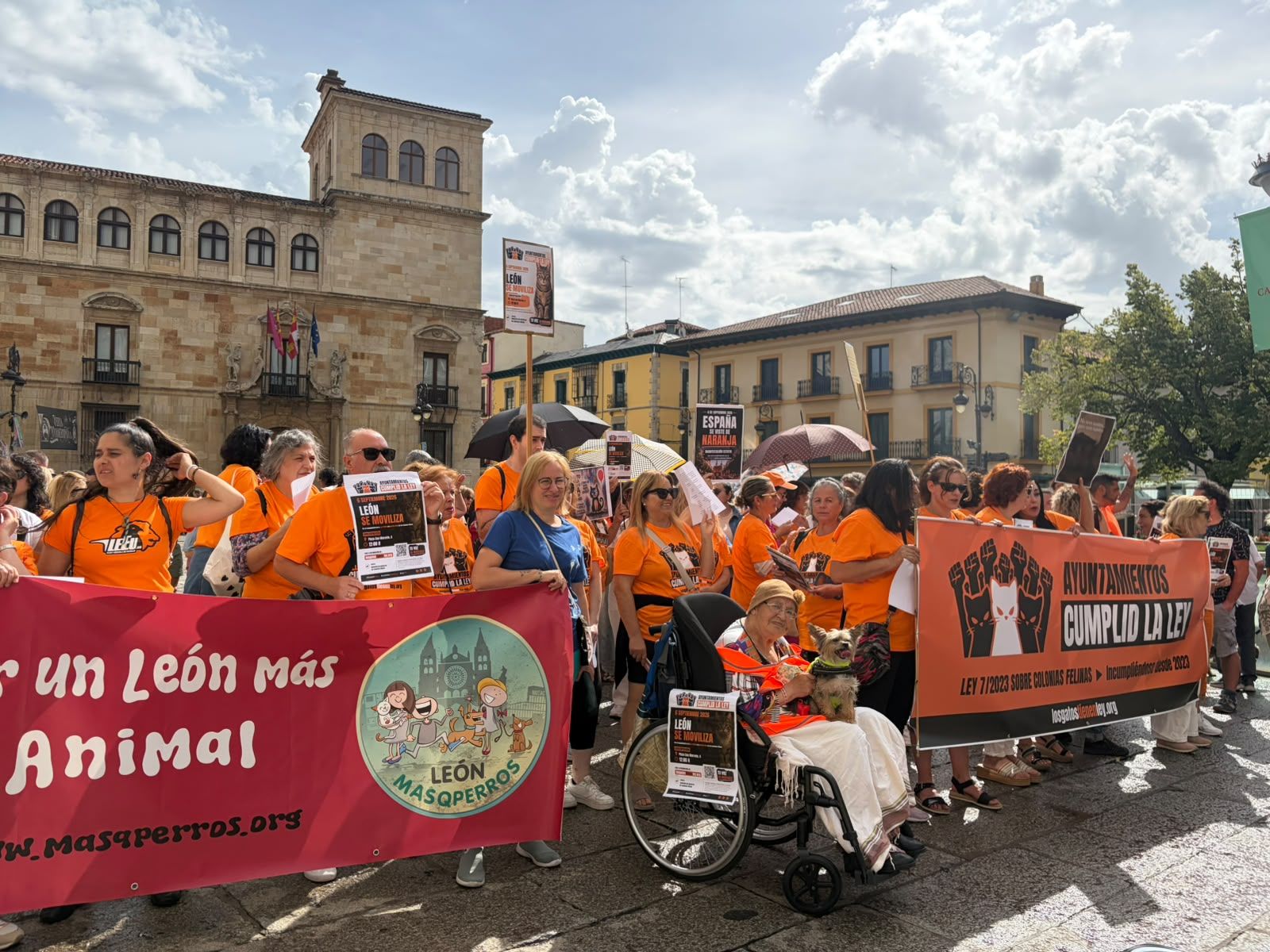 Participantes en la concentración celebrada este domingo en León en defensa de las colonias felinas | L.N.C.
