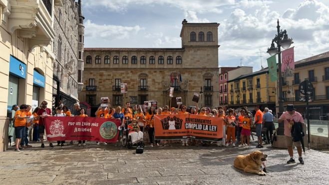 La ‘marea naranja’ de las cuidadoras de gatos llegó este domingo a León | L.N.C.