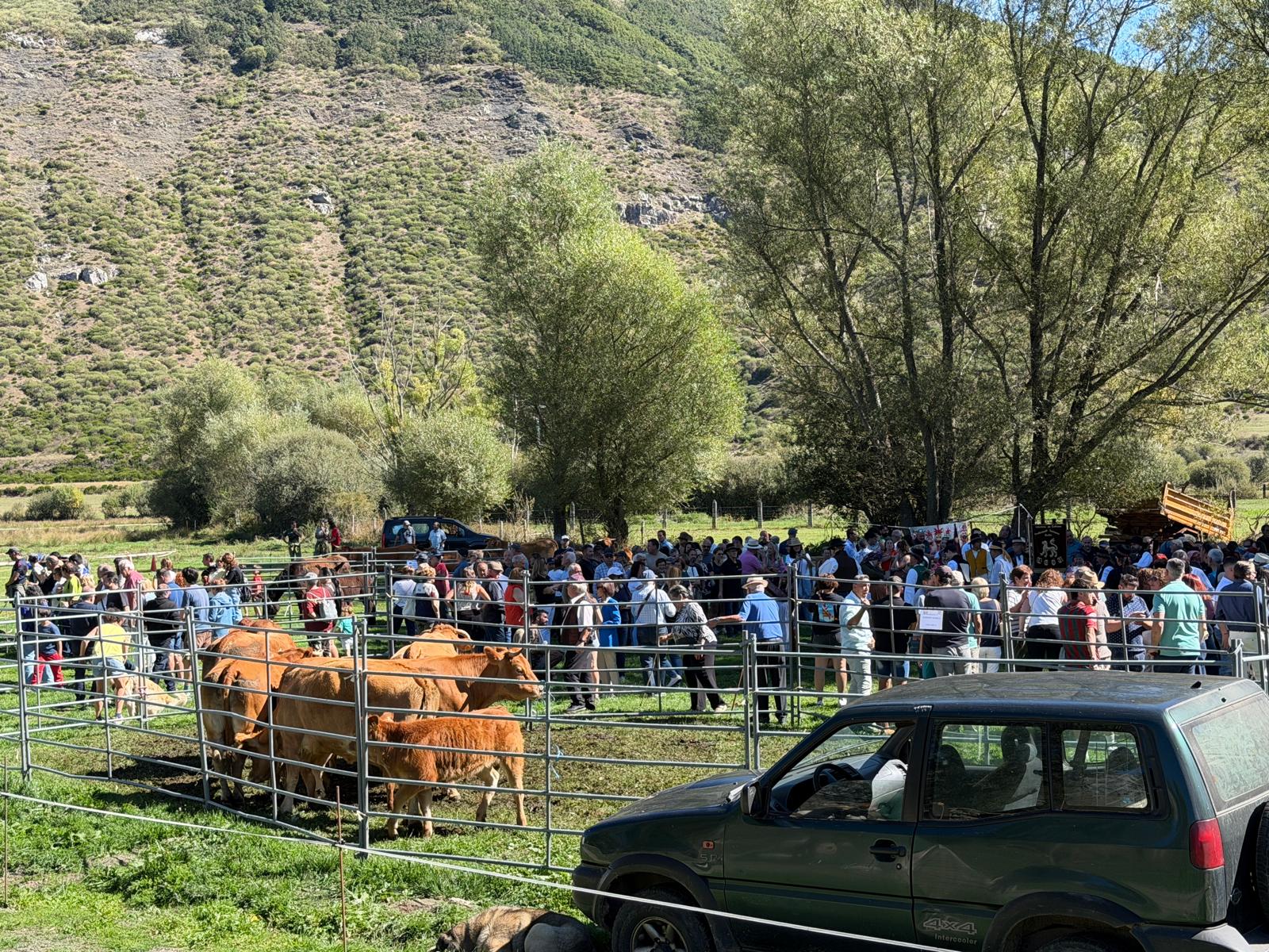 La Feria Tradicional del Cristo de Valdelugueros, en imágenes 