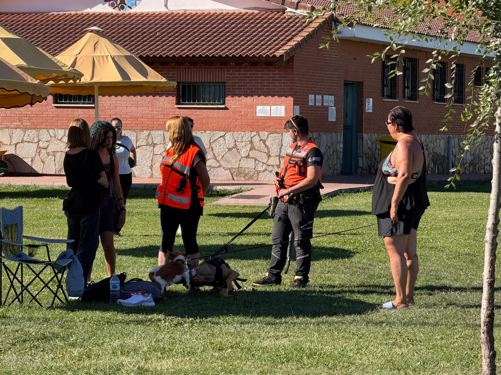 Un 'chapuzón' canino en las piscinas de Villaquilambre 