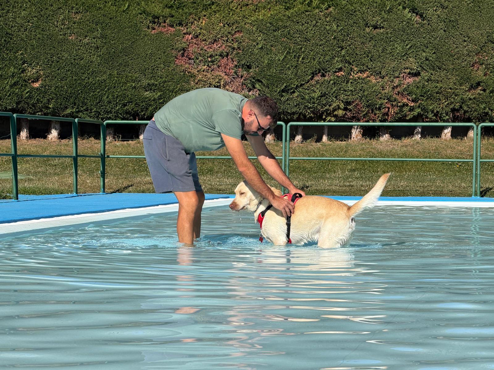 Un 'chapuzón' canino en las piscinas de Villaquilambre 