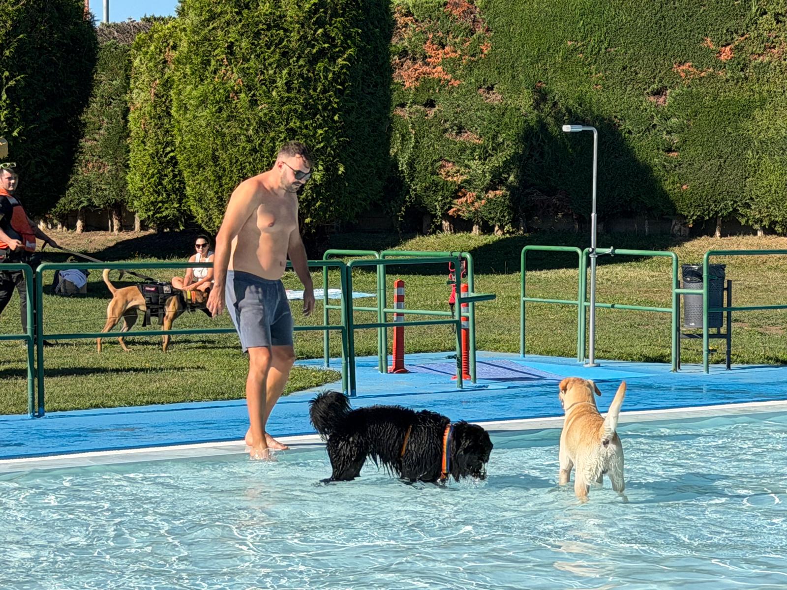 Un 'chapuzón' canino en las piscinas de Villaquilambre