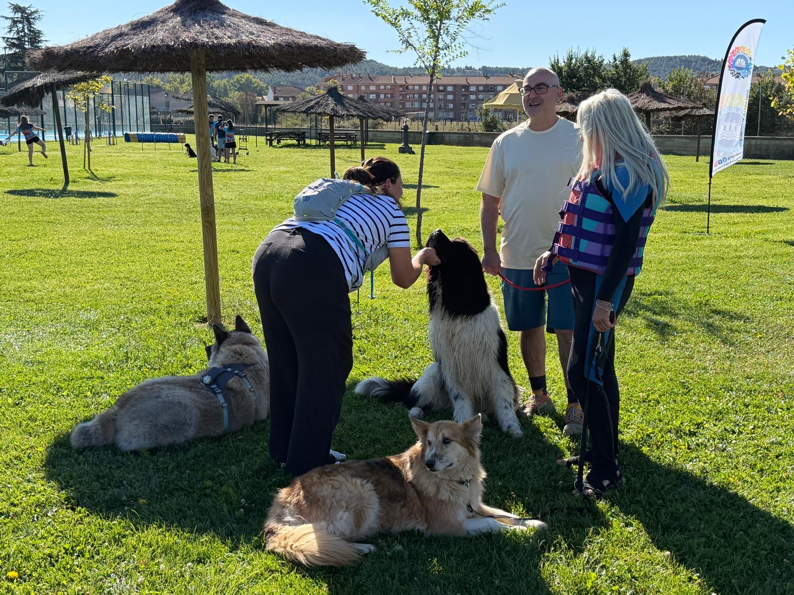 Un 'chapuzón' canino en las piscinas de Villaquilambre 
