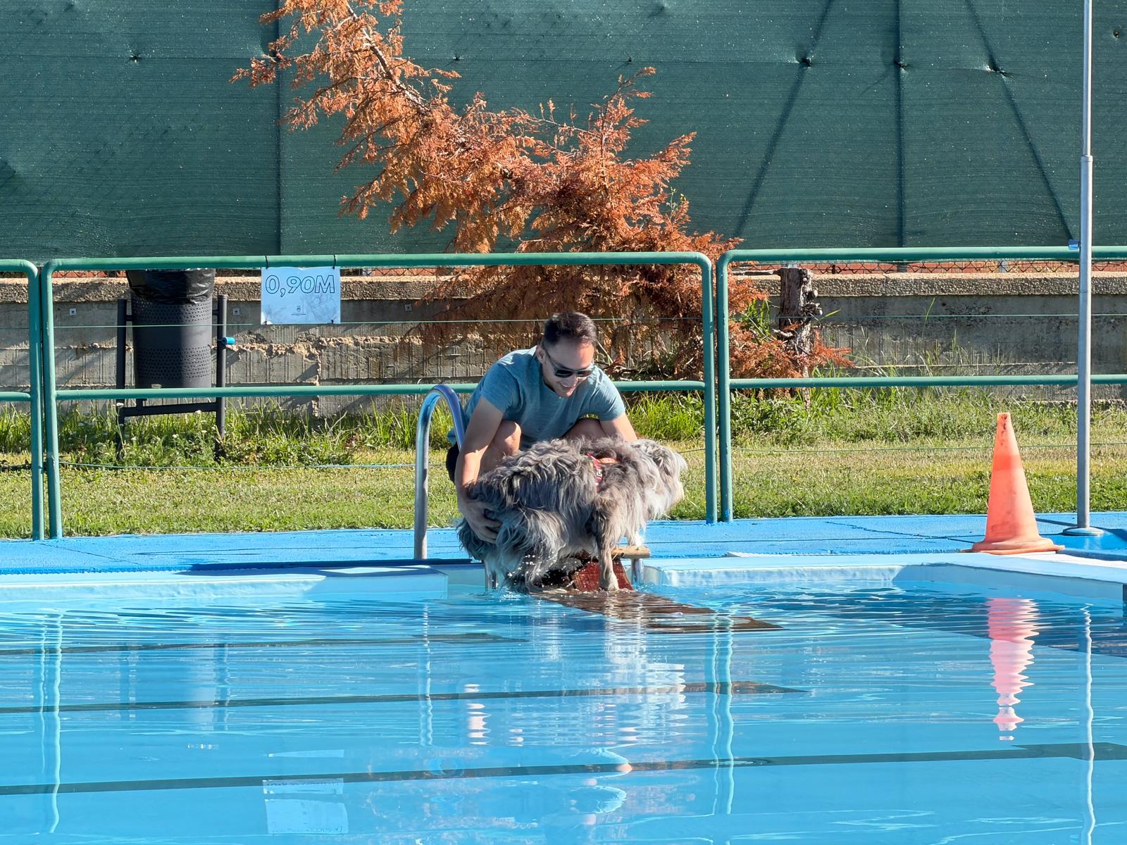 Un 'chapuzón' canino en las piscinas de Villaquilambre 