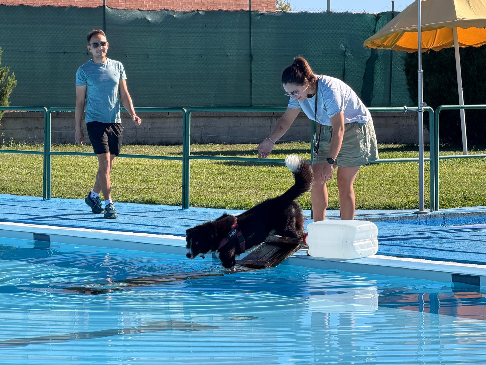 Un 'chapuzón' canino en las piscinas de Villaquilambre