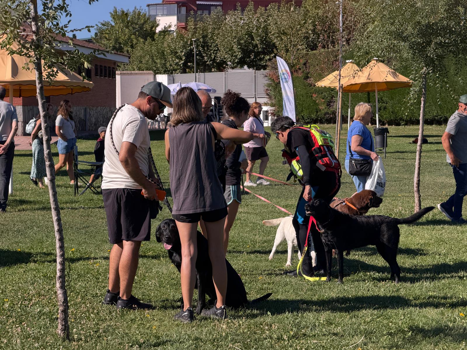 Un 'chapuzón' canino en las piscinas de Villaquilambre 