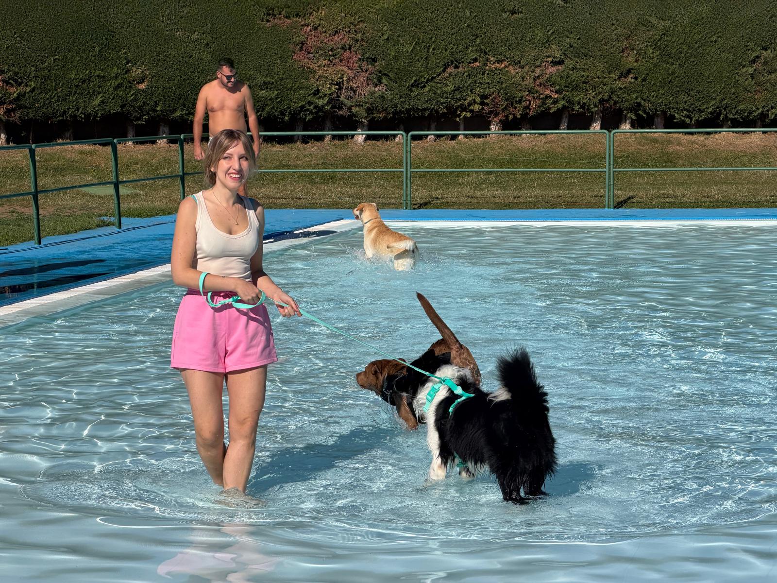 Un 'chapuzón' canino en las piscinas de Villaquilambre 