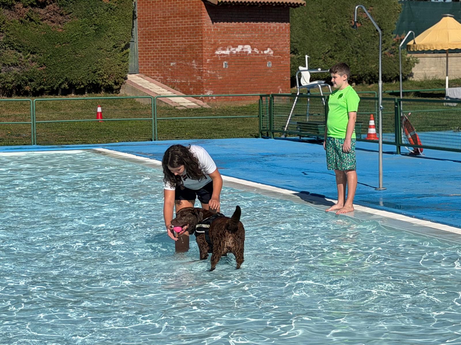 Un 'chapuzón' canino en las piscinas de Villaquilambre 
