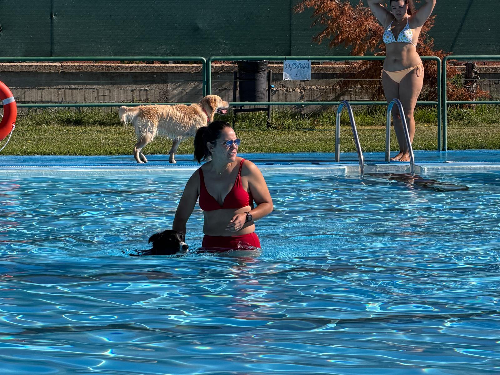 Un 'chapuzón' canino en las piscinas de Villaquilambre 