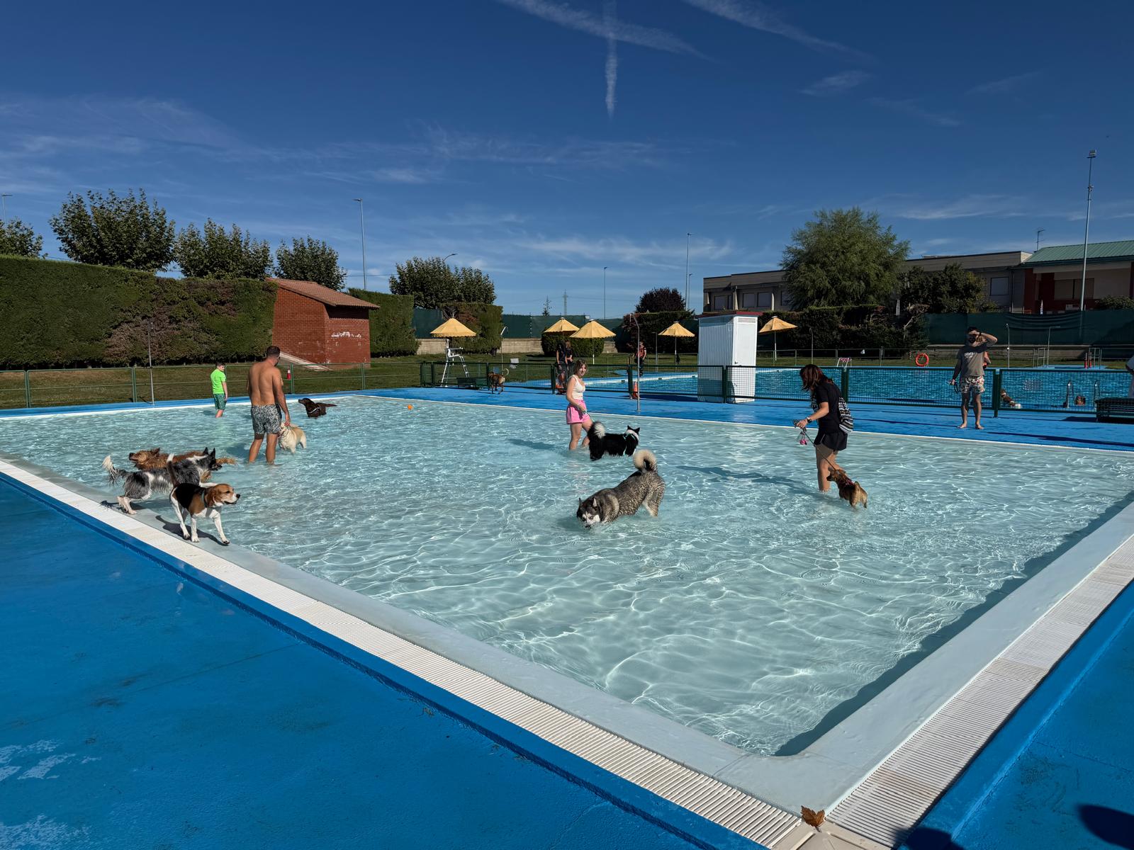 Un instante de 'Vuelve PiscincánVQ'. | SAÚL ARÉN