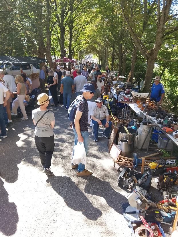 Ganado, pastoreo, concurso en torno al perro mastín y un variado mercado. ESTEFANÍA NIÑO (5)