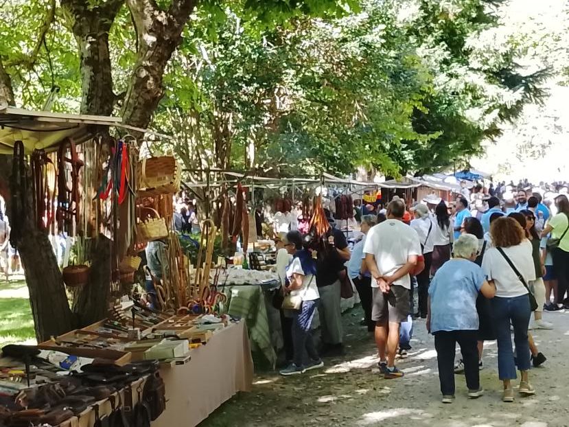 Ganado, pastoreo, concurso en torno al perro mastín y un variado mercado. ESTEFANÍA NIÑO (6)