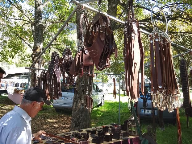 Ganado, pastoreo, concurso en torno al perro mastín y un variado mercado. ESTEFANÍA NIÑO (8)