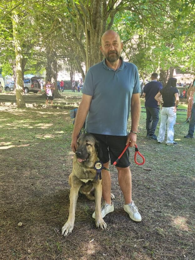 Ganado, pastoreo, concurso en torno al perro mastín y un variado mercado. ESTEFANÍA NIÑO (10)