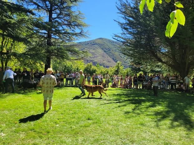 Ganado, pastoreo, concurso en torno al perro mastín y un variado mercado. ESTEFANÍA NIÑO (11)