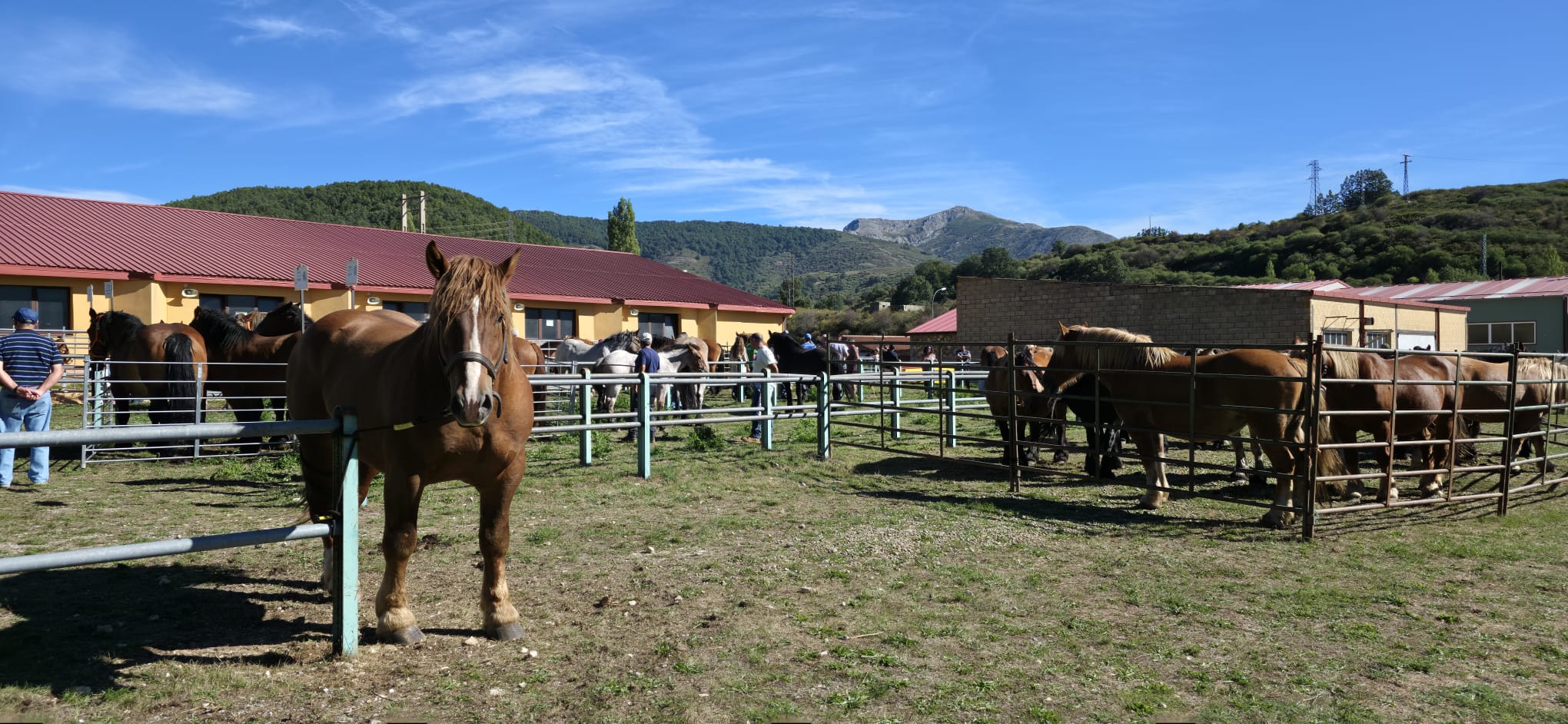Puebla de Lillo, la montaña, en pie de feria