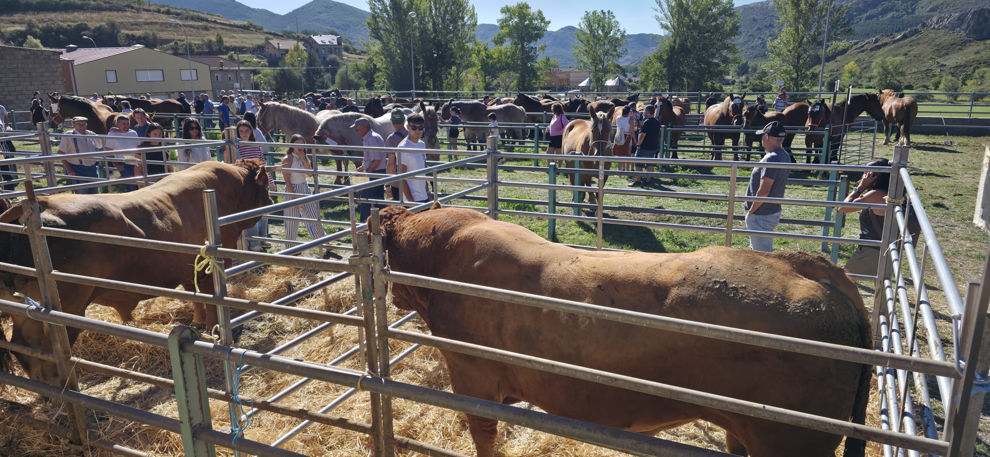 Puebla de Lillo, la montaña, en pie de feria 