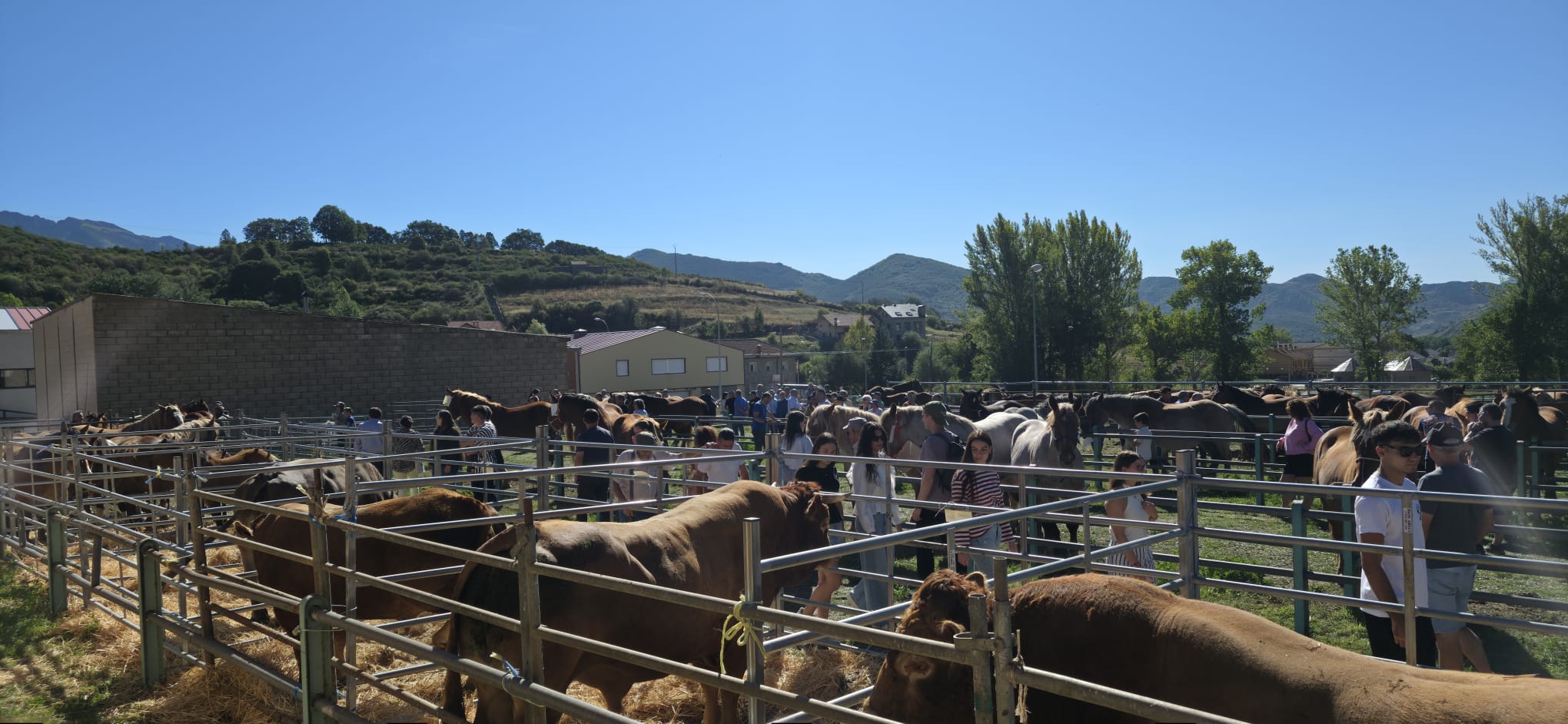 Puebla de Lillo, la montaña, en pie de feria 