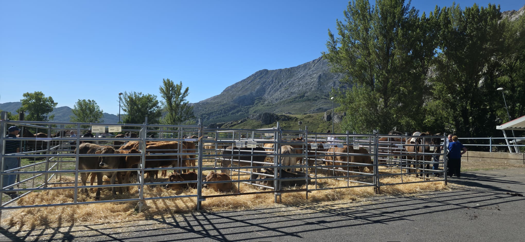 Puebla de Lillo, la montaña, en pie de feria 