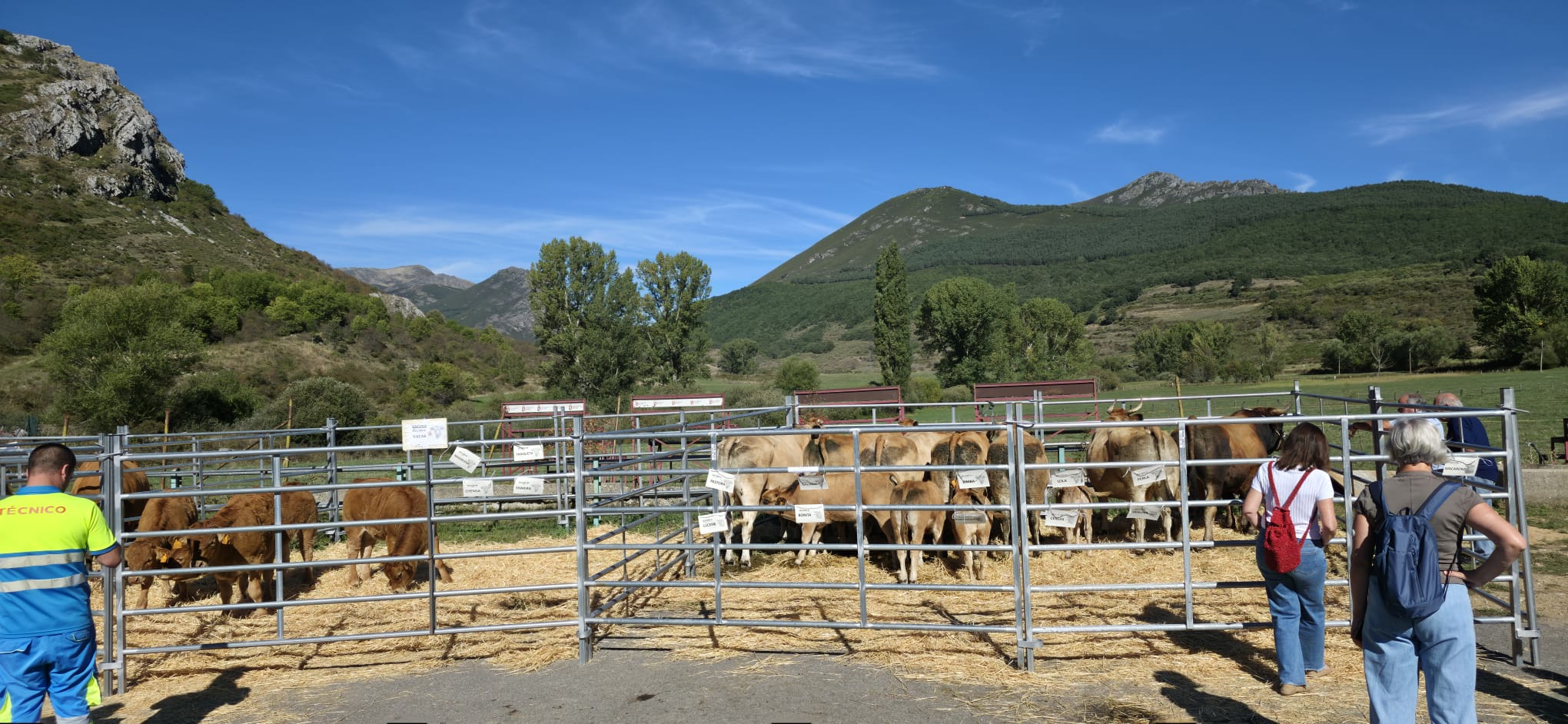 Puebla de Lillo, la montaña, en pie de feria 
