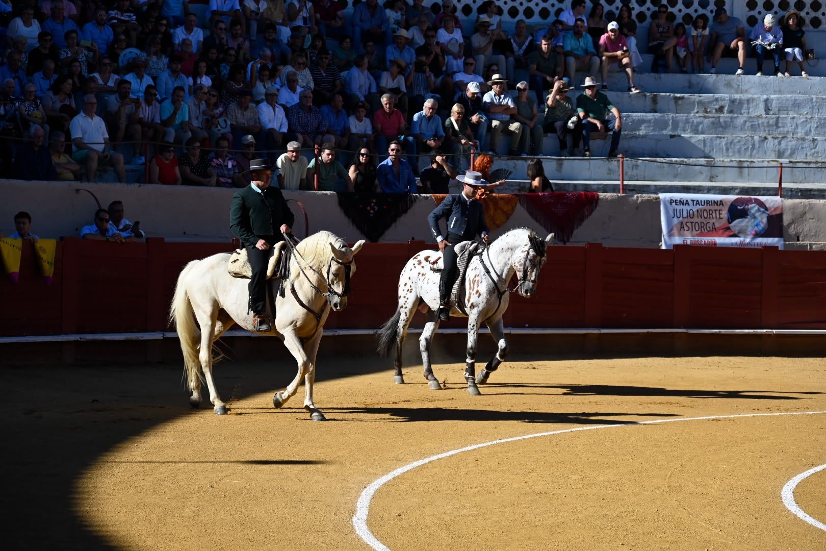 La corrida de toros en Valencia de Don Juan, en imágenes 