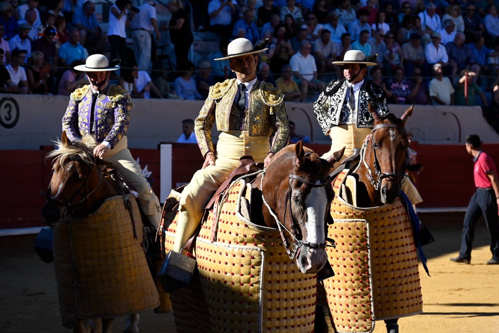 La corrida de toros en Valencia de Don Juan, en imágenes 