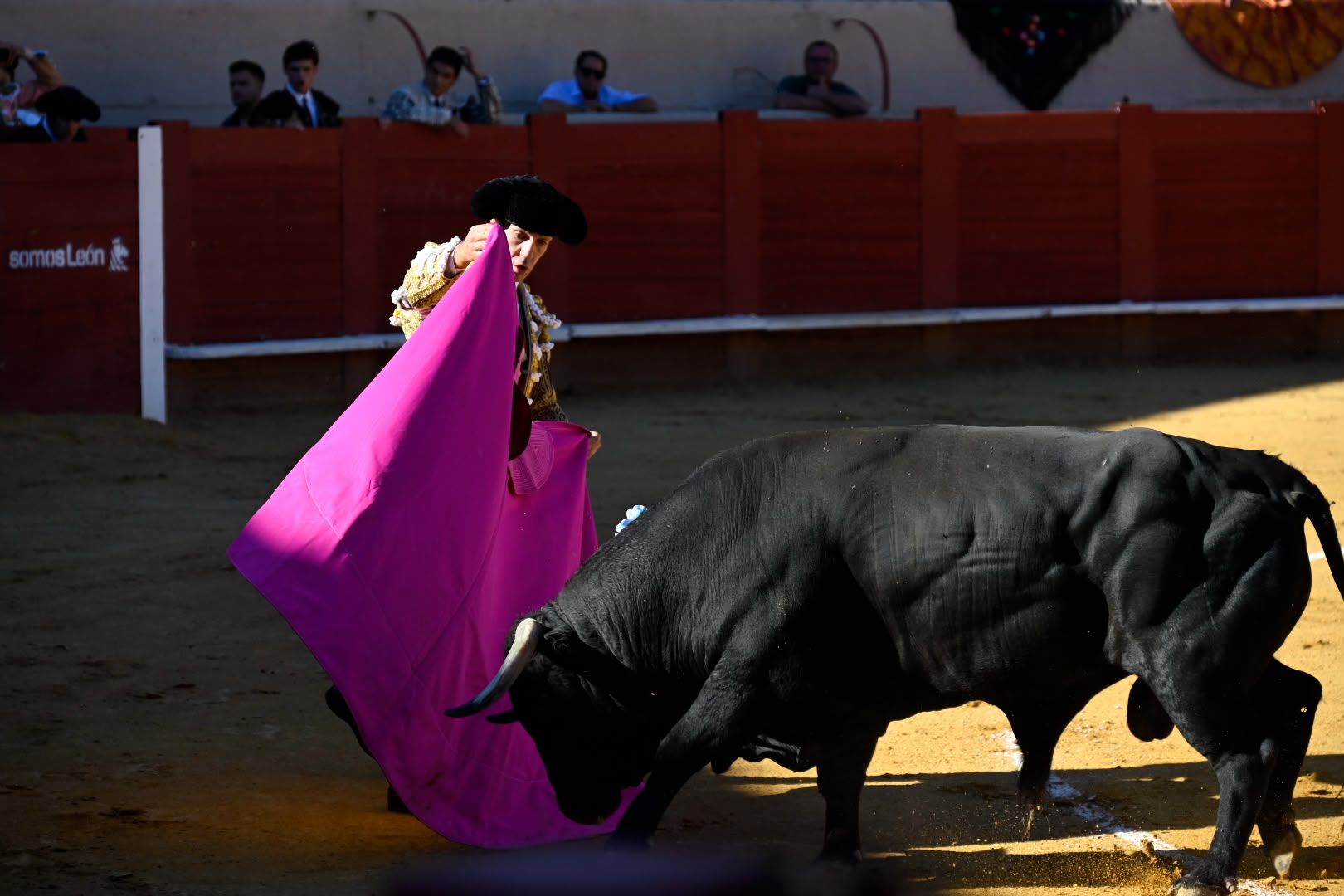 La corrida de toros en Valencia de Don Juan, en imágenes 
