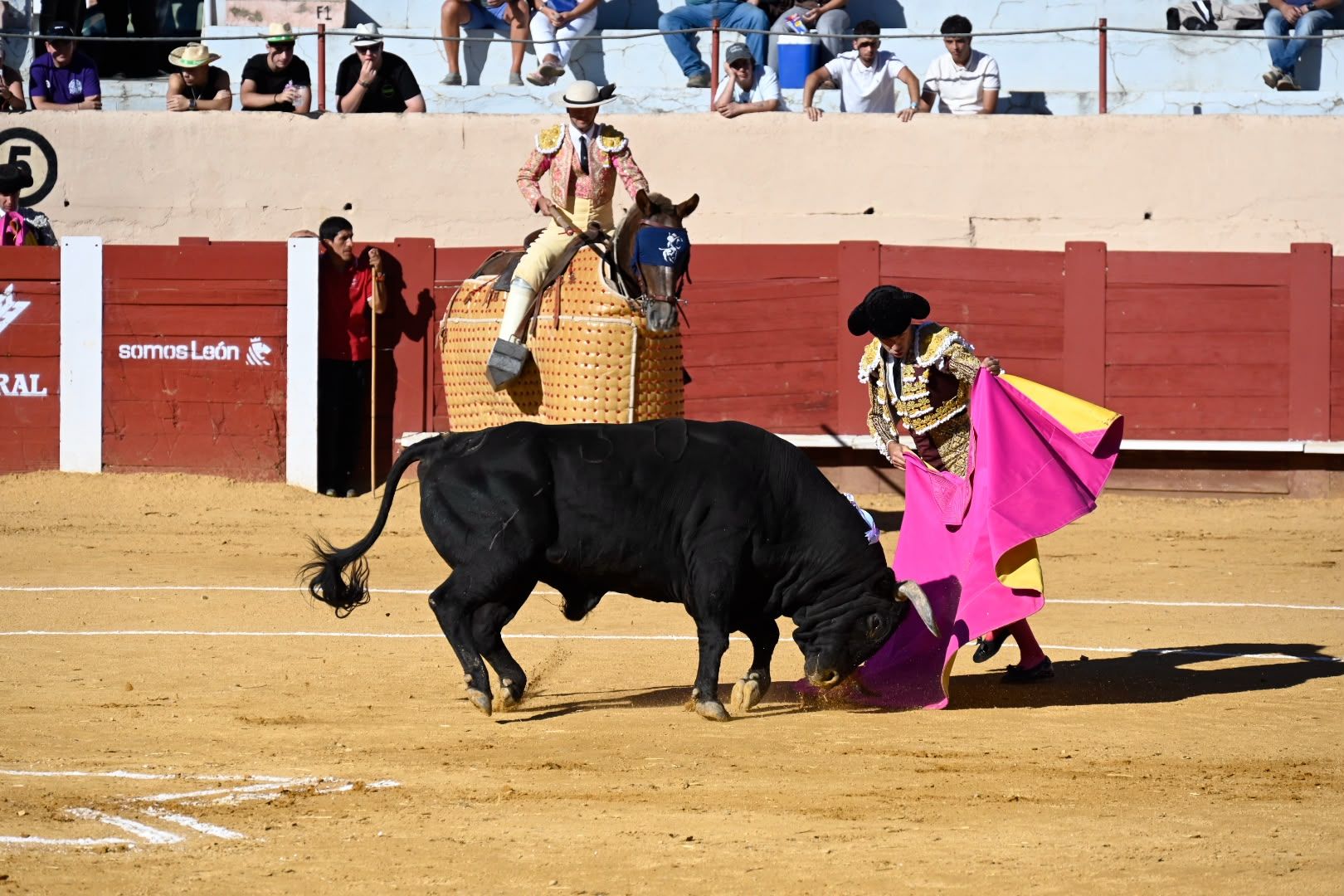 La corrida de toros en Valencia de Don Juan, en imágenes