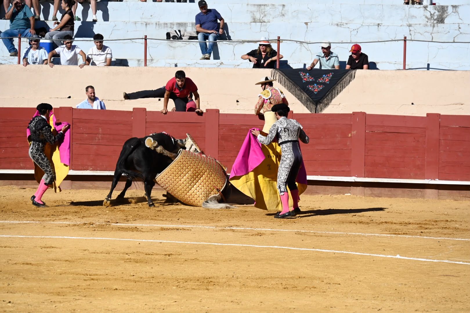 La corrida de toros en Valencia de Don Juan, en imágenes