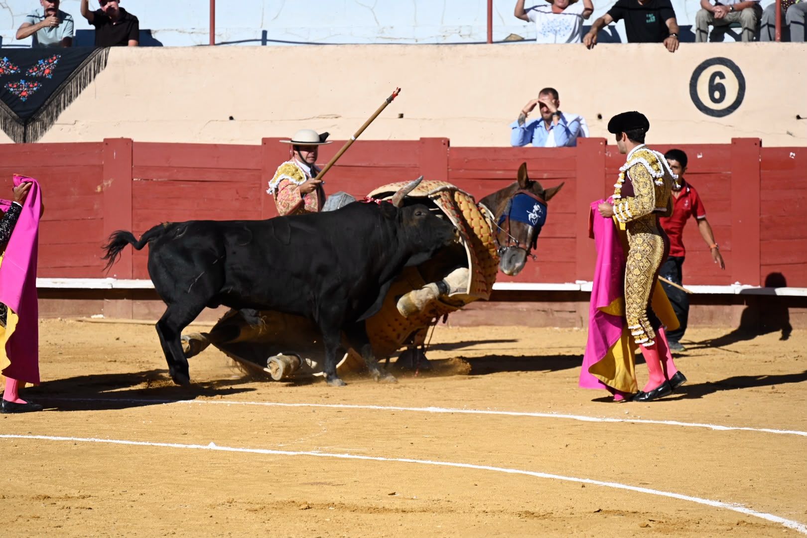 La corrida de toros en Valencia de Don Juan, en imágenes 