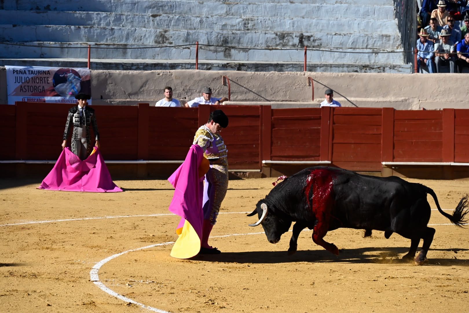 La corrida de toros en Valencia de Don Juan, en imágenes