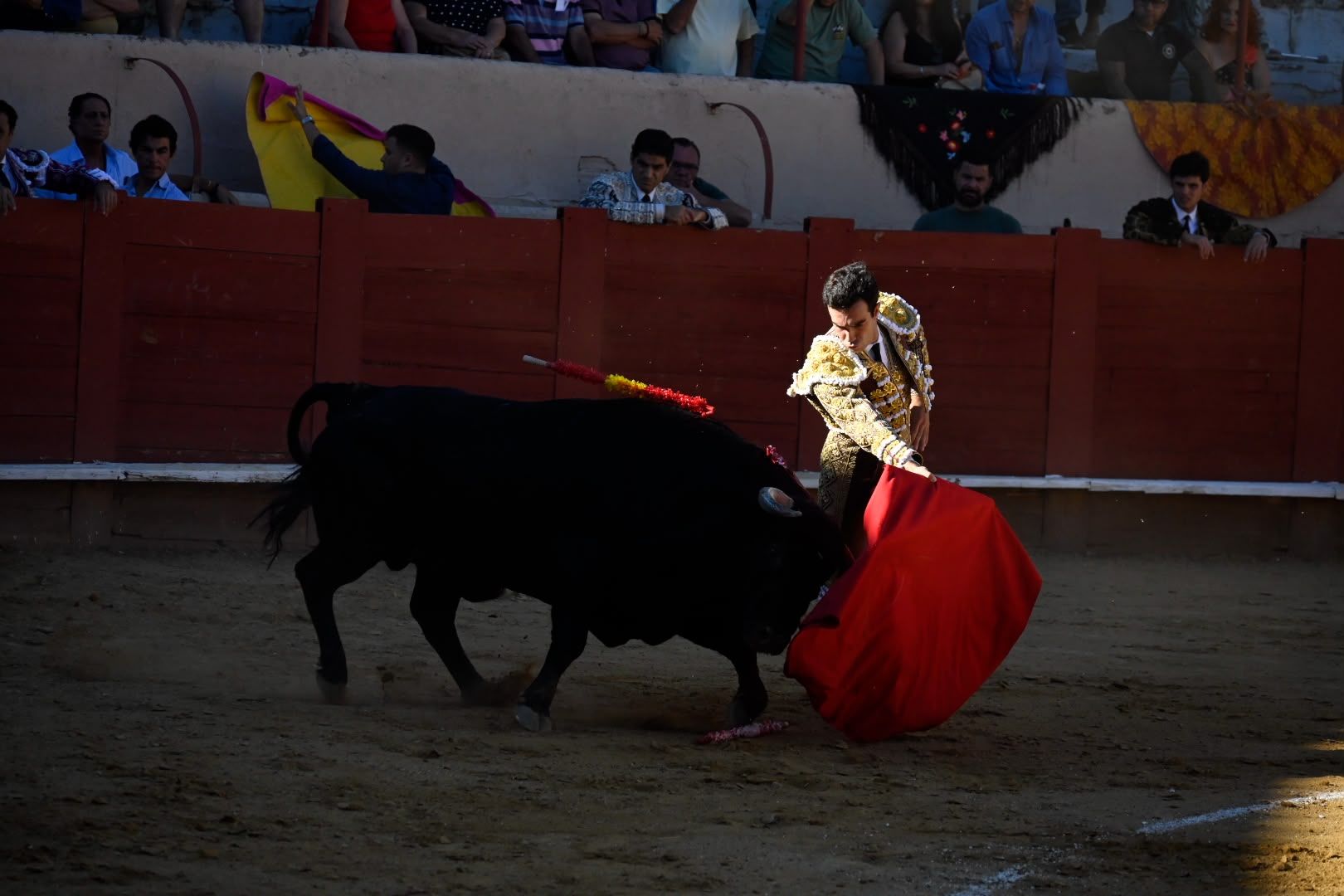 La corrida de toros en Valencia de Don Juan, en imágenes