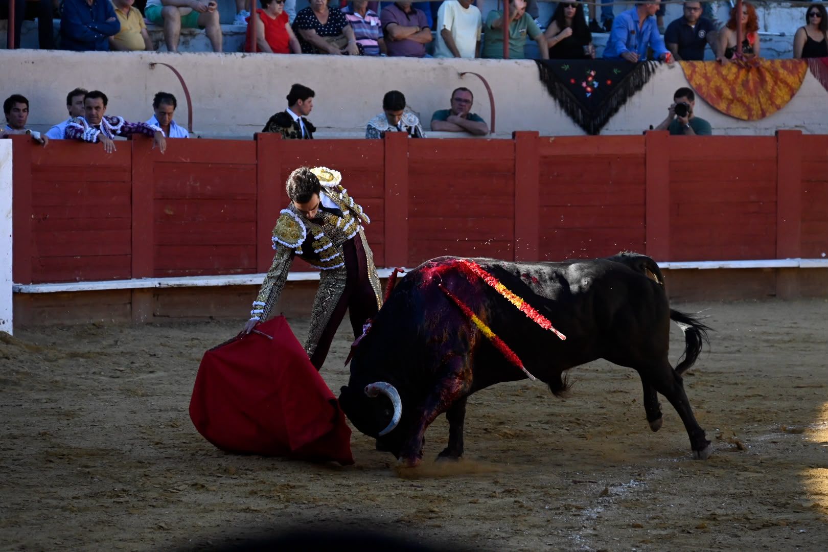 La corrida de toros en Valencia de Don Juan, en imágenes 