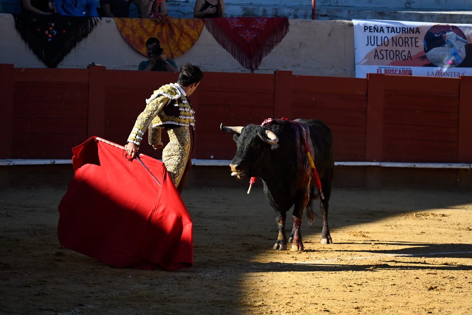 La corrida de toros en Valencia de Don Juan, en imágenes 