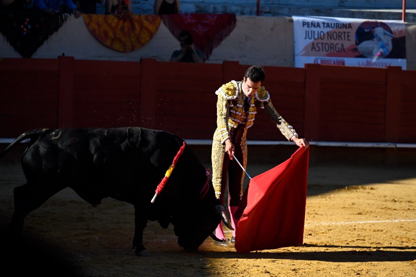 La corrida de toros en Valencia de Don Juan, en imágenes 