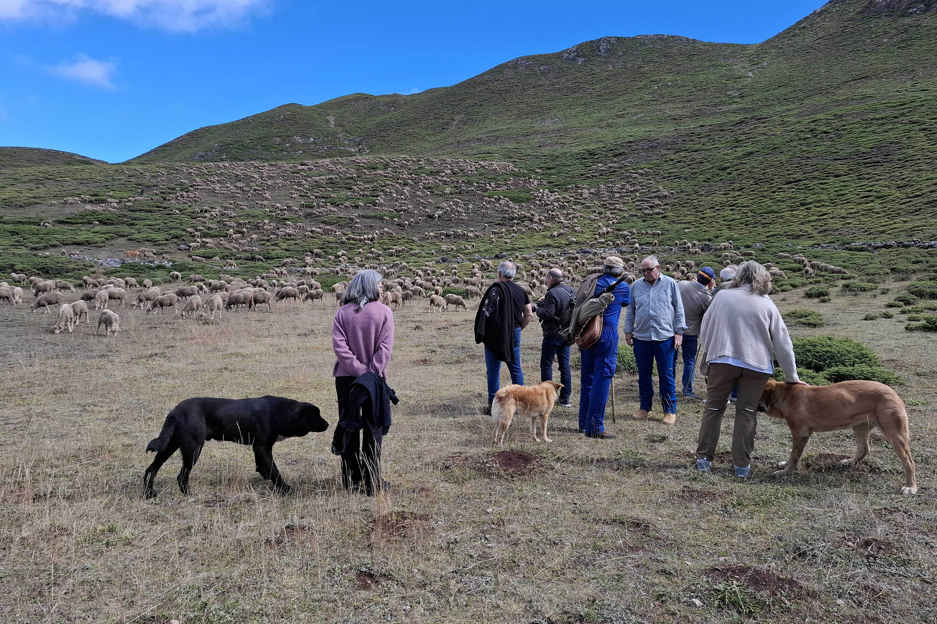Un instante de la jornada celebrada en La Cueta de Babia.