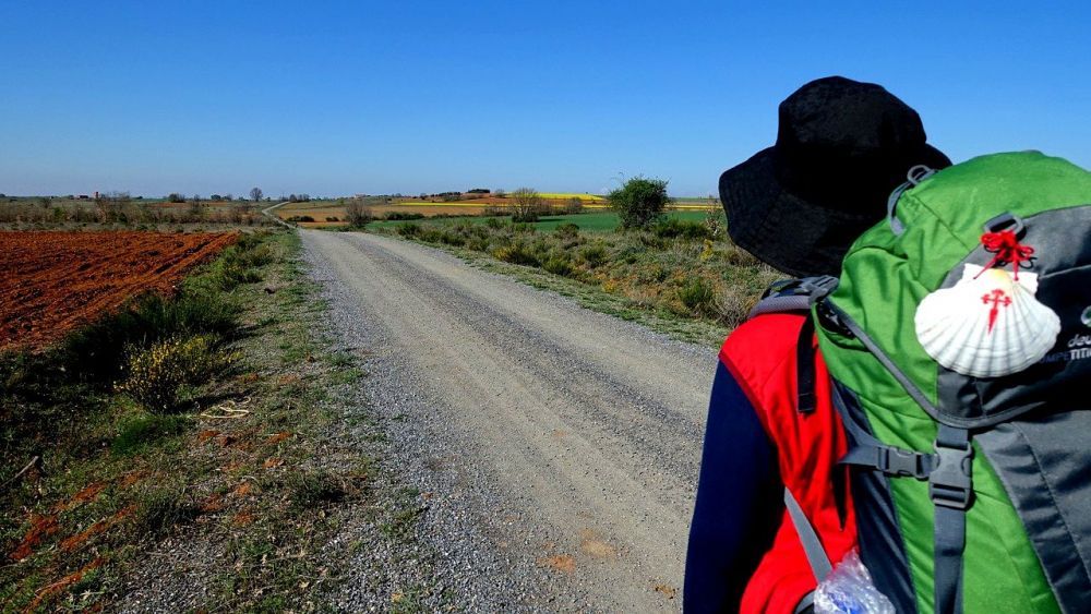 Un peregrino realizando el Camino de Santiago. | L.N.C. Un peregrino realizando el Camino de Santiago. | L.N.C.