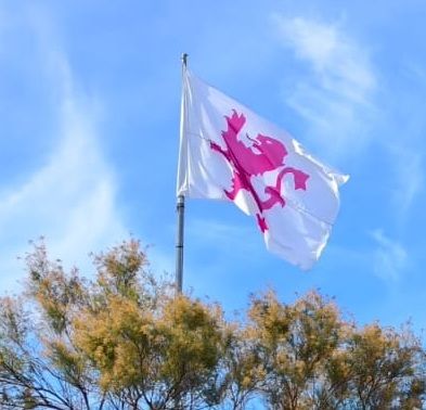 Bandera del Viejo Reino de León instalada. | A. RODRÍGUEZ Bandera del Viejo Reino de León instalada. | A. RODRÍGUEZ
