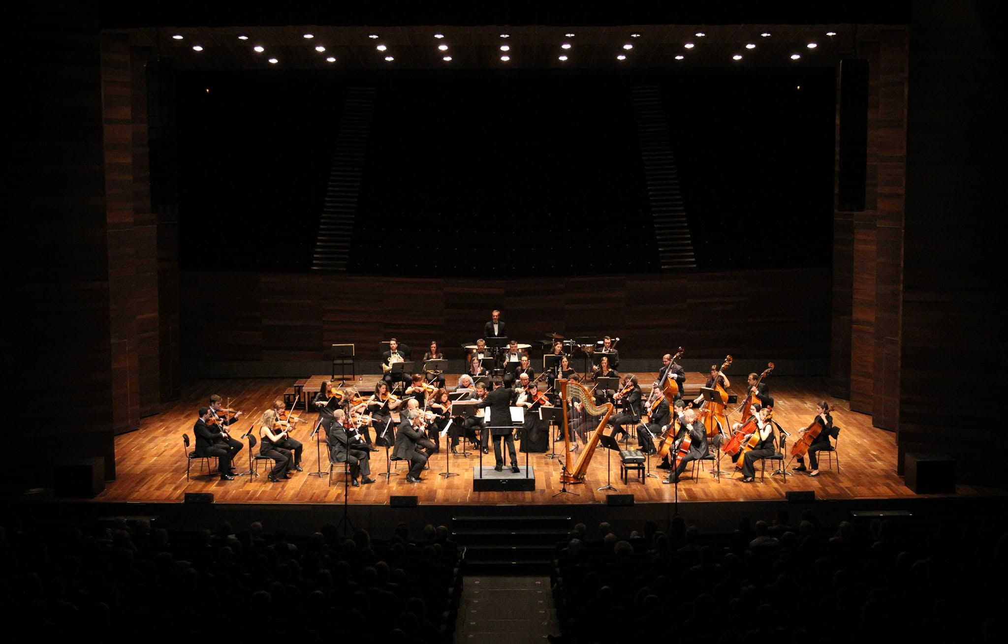La Orquesta Ibérica celebrará un concierto este domingo en León. | FACEBOOK DE LA AGRUPACIÓN