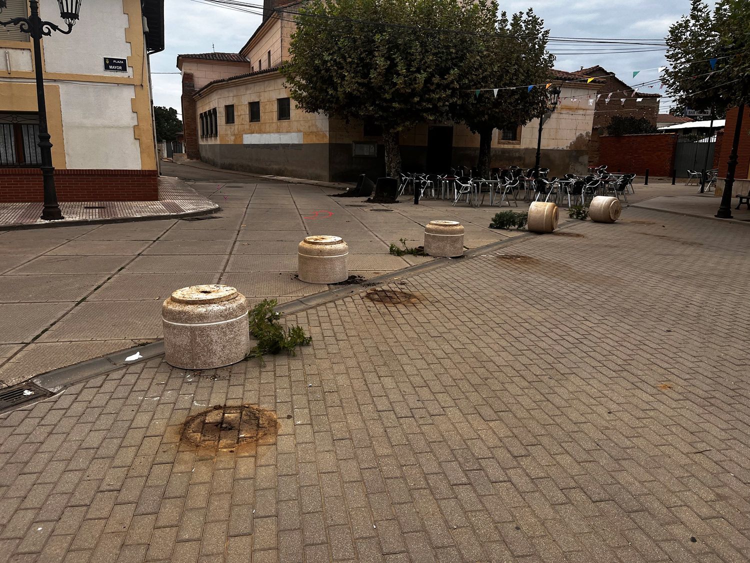Jardineras que fueron vandalizadas. | L.N.C. Jardineras que fueron vandalizadas. | L.N.C.
