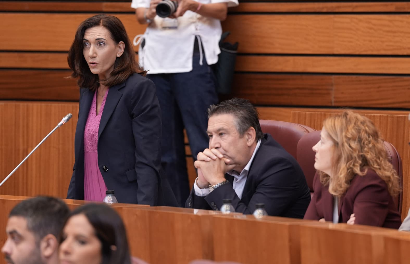 La portavoz de UPL en las Cortes, Alicia Gallego. | L.N.C.