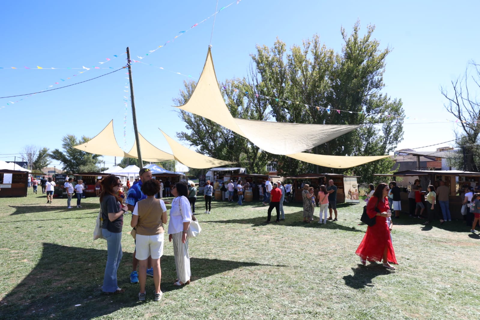 Feria de la vendimia de Valdevimbre. | FERNANDO OTERO Feria de la vendimia de Valdevimbre. | FERNANDO OTERO