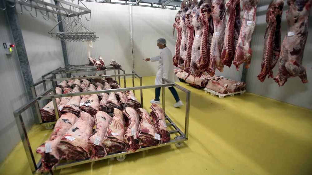 Imagen de archivo de las instalaciones de un matadero.  | ICAL