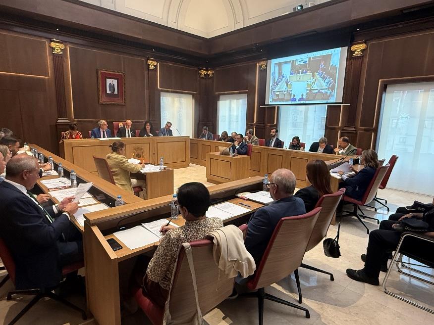 Imagen del Pleno celebrado este viernes en el Ayuntamiento de León. | L.N.C. Imagen del Pleno celebrado este viernes en el Ayuntamiento de León. | L.N.C.