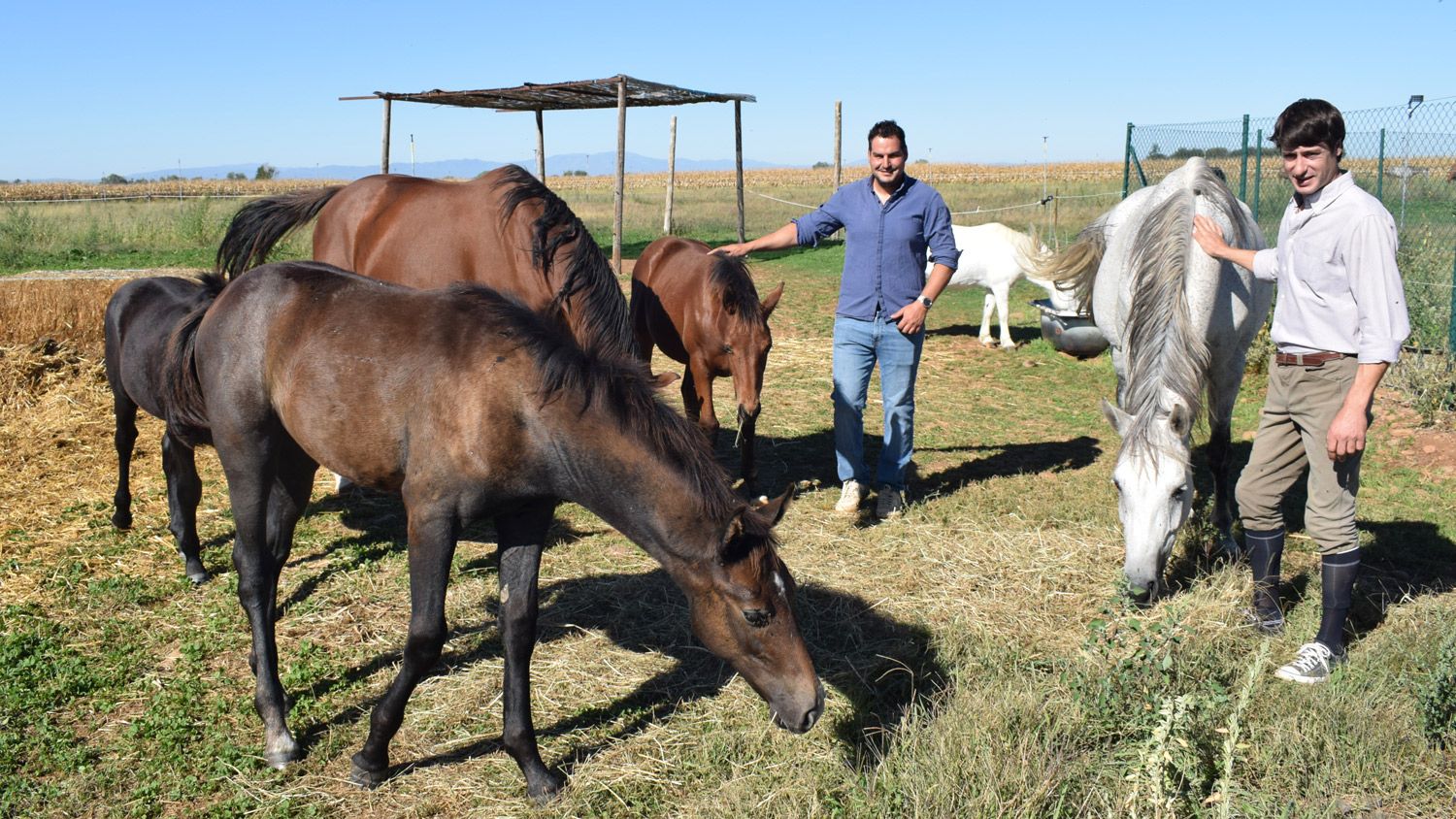Bruno y Guillermo junto a los caballos de deporte español que crían en su nuevo centro de ‘La Villa del Caballo’. | ALEJANDRO RODRÍGUEZ Bruno y Guillermo junto a los caballos de deporte español que crían en su nuevo centro de ‘La Villa del Caballo’. | ALEJANDRO RODRÍGUEZ