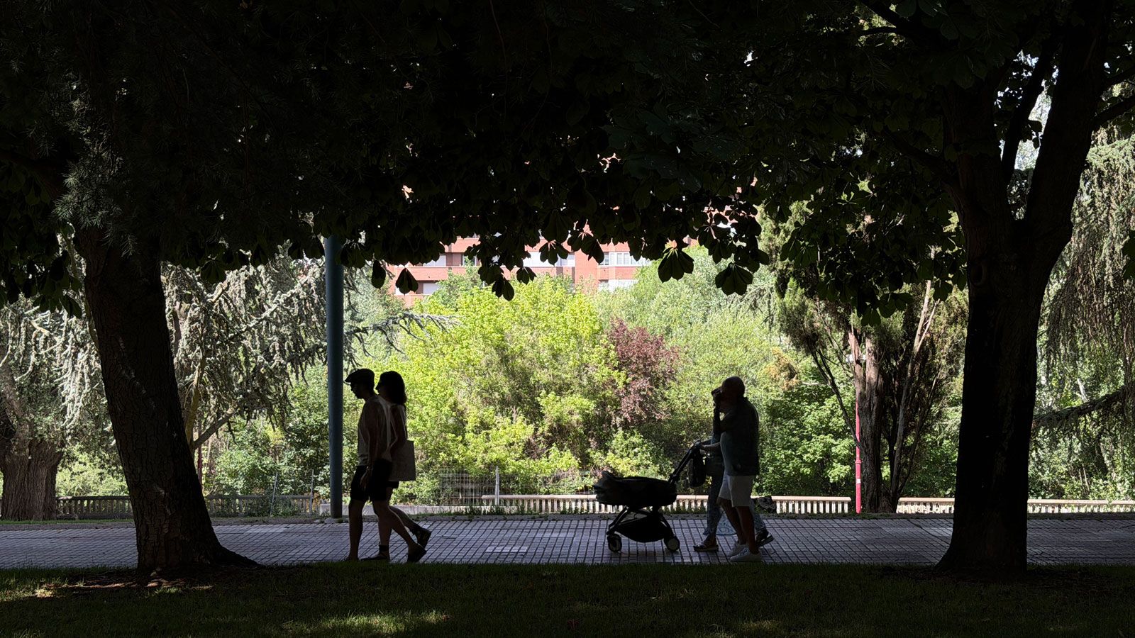 Son muchos los leoneses que han convertido el Paseo de la Condesa en una parte indispensable de su rutina diaria. | SAÚL ARÉN