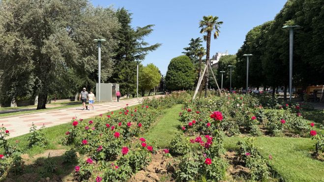 A las rosaledas se suman cipreses, chopos, castaños, plátanos híbridos y todo tipo de variedades vegetales. SAÚL ARÉN