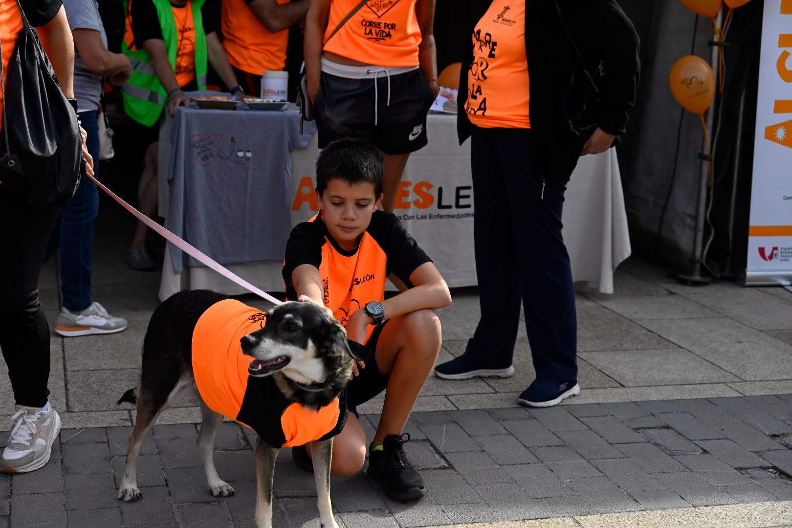 Las imágenes de la XII carrera solidaria ‘Corre por la Vida’ de Alcles